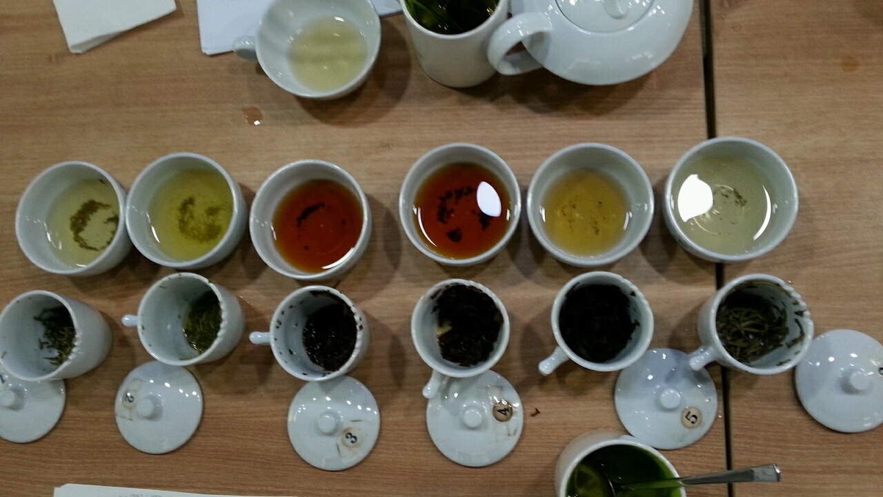 다도 기초반 수업